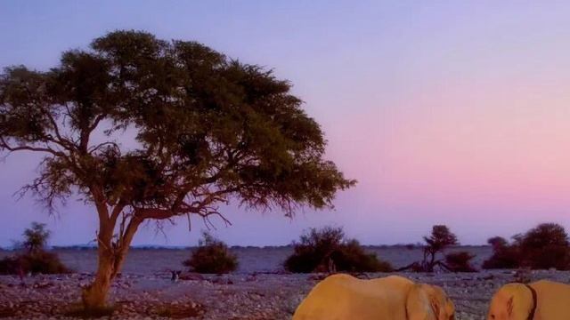 Необычный танец масаи