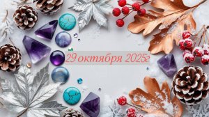 Новое поступление 29-10-2025