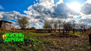 Кура-инвалид и прочие дела | Жизнь в деревне видео