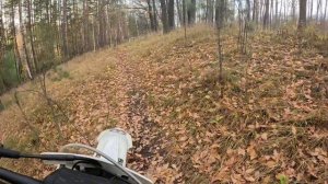 26.10.25 Покатушка по рамонскому району