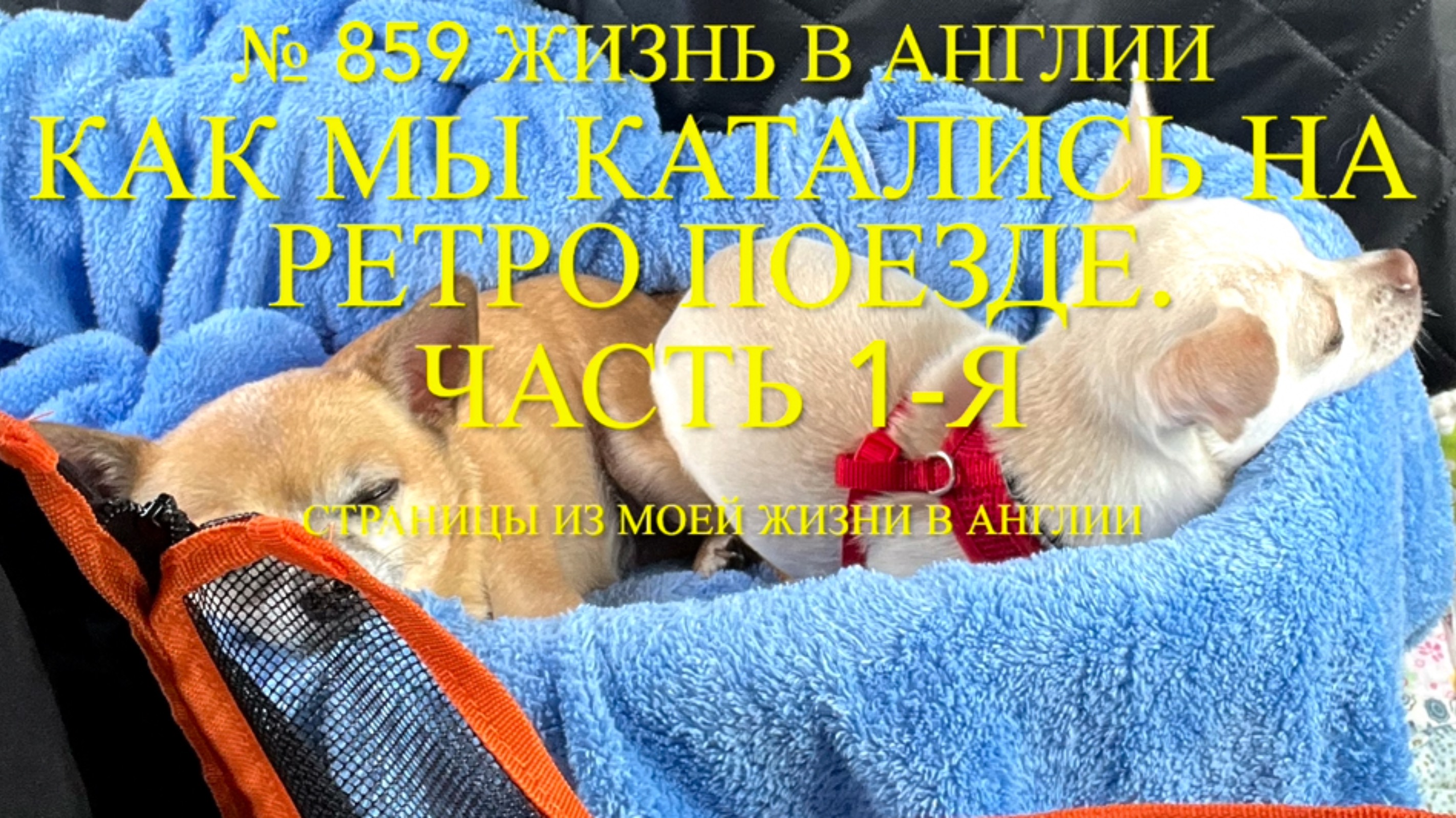 Как мы катались на рэтро поезде. Начало истории. Поезд с паровым двигателем. № 859 Жизнь в Англии