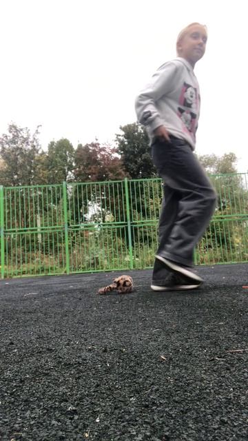 Маша ворюга