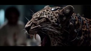 159  Автор музыки Юнгман ВВ