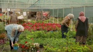 ВАЙН МАХКАХЬ ХАЗАЛЛА КХУЛЛУШ БЕРШ. ЗЕЗАГАШ.ЛЕХАМАШ