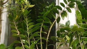 Уснуть бы...