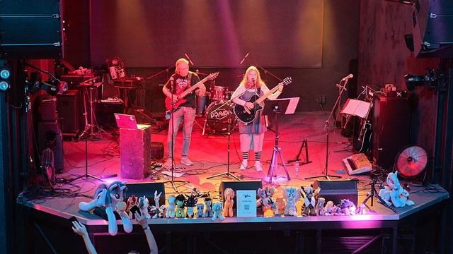 Железные птицы - Седой единорог (live RuBronyCon 2025 14-09-2025)