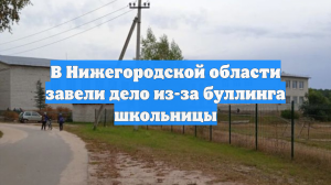 В Нижегородской области завели дело из-за буллинга школьницы