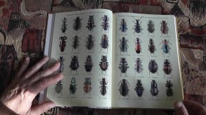 "Жизнь замечательных жуков" (С.С.Ижевский, А.Л.Лобанов, А.Ю.Соснин, 2015)