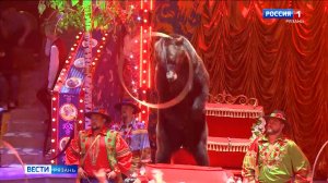 В рязанском цирке стартовало шоу "Пять континентов" Гии Эрадзе