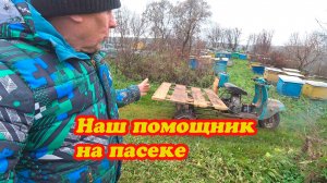 НАШ ТРАНСПОРТ ДЛЯ ПОСТАНОВКИ ПЧЁЛ В ЗИМОВНИКИ, ОТВЕТЫ НА КОММЕНТАРИИ.