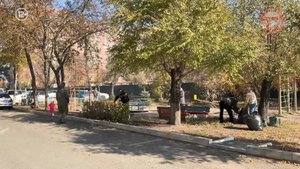 🧹 Активные жители Уссурийска вышли на большой осенний субботник