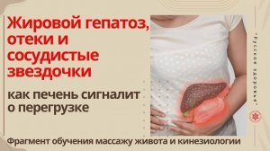 Жировой гепатоз, отеки и сосудистые звездочки: как печень сигналит о перегрузке. Фрагмент обучения