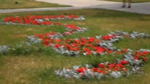 Я иду к тебе навстречу.22.06.2015.