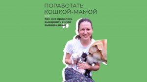 Как выходить и вырастить новорожденных котят. История Кати Дуленковой