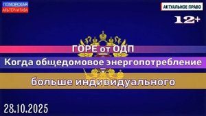 Горе от ОДП. Когда общедомовое энергопотребление больше индивидуального. #АктПраво (28.10.2025) 12+