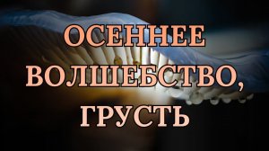 Осеннее волшебство, грусть