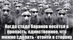 Круговорот баранов в природе : Как вернуть отношения