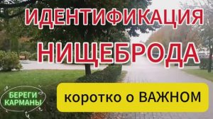 ИДЕНТИФИКАЦИЯ НЕЩЕБРОДА. коротко о ВАЖНОМ.