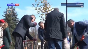 В Горловке высадили новые деревья