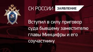 Вступил в силу приговор суда бывшему заместителю главы Минцифры и его соучастнику