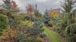 От черенка - к шедевру