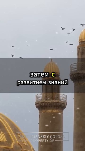 Умный ответ мусульманки-врача на вопрос о хиджабе