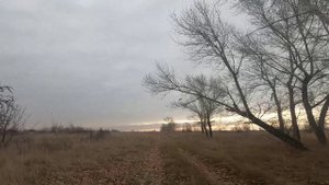 Через сад №15 до посёлка Калиновка.😊