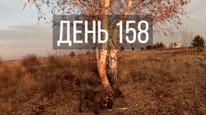 День 158