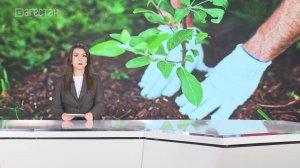 Город Дагестанские Огни стал зеленее на сотни деревьев