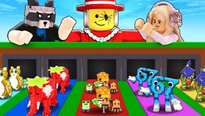 😱НАЧАЛ С НУЛЯ, но АДМИН ВЫДАЁТ МНЕ БЕСКОНЕЧНЫЕ ДОРОЖКИ БРЕЙНРОТОВ в Steal a Brainrot!