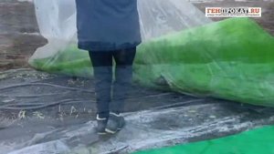 Прогрев грунта дизельной установкой Hot Black Hose 1000