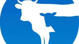 Электрический дренчер на 350 литров