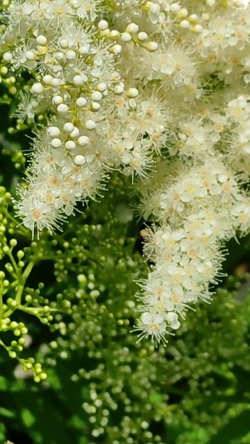 Важно знать, чего ты хочешь