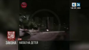 В Сочи пьяный мужчина напал на детей из-за электросамоката