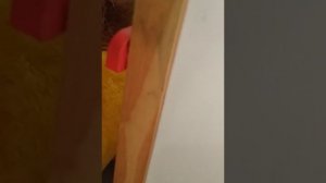 день сестры♥️