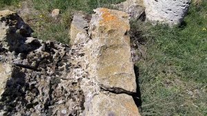 Каменный лес