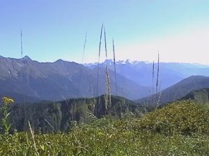 К истокам Сочи