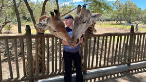 Маврикий 8/10-2025г. "Casela"