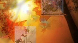 Видео выставка поделок из природных материалов " Ягодки, цветочки, жучки и паучки"