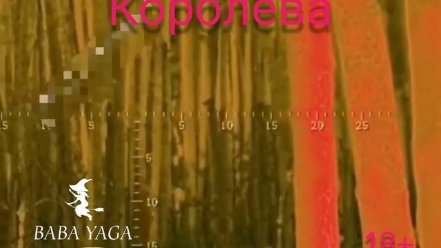 песня Королева от Baba Yaga смотреть онлайн