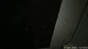 27.10.2025 музыка КВ 5(6). Результат деятельности полиции. Оренбург.