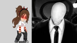 мои любимые персы