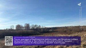 ДАЙДЖЕСТ «СЕВЕРНОГО ГОРОДА»,28.10.2025