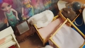 Дети Марии Борисовны устроили хаос в доме 🌪️ Лиля с хомяками 🐹🐹