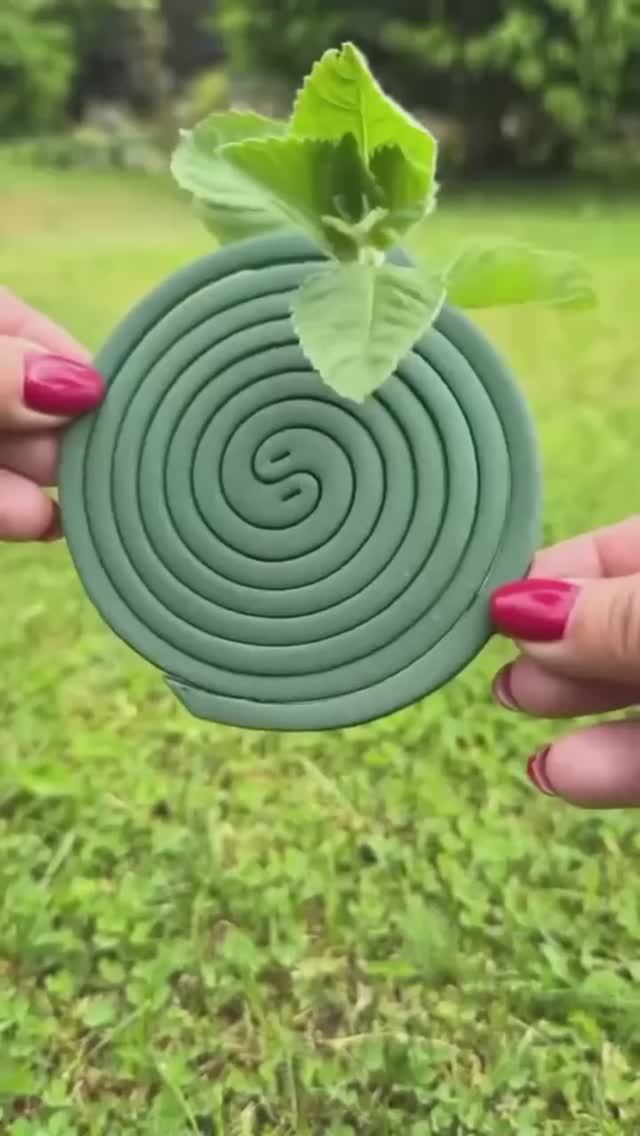 Суперсредство от комаров