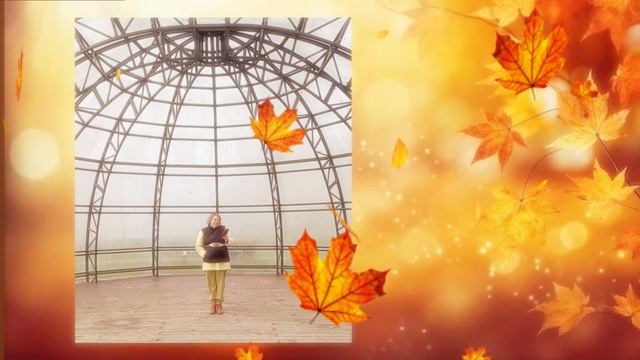 Питер, котик и любовь