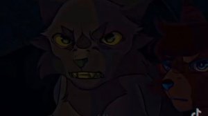 коты воители