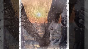 Игорь Кибирев  Жасмин