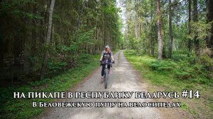 На пикапе в Республику Беларусь #14 В Беловежскую пущу на велосипедах
