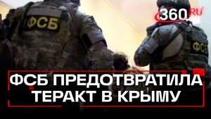 ФСБ пресекла попытку теракта в Крыму: задержан 19-летний диверсант